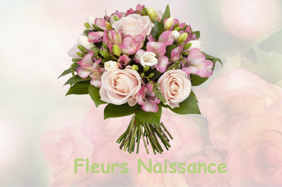 fleurs naissance NAYEMONT-LES-FOSSES