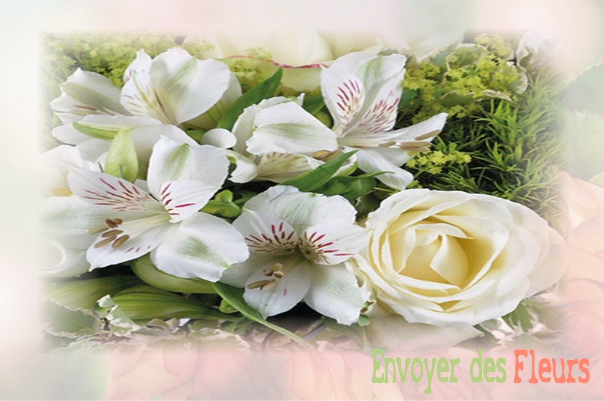 envoyer des fleurs à à NAYEMONT-LES-FOSSES